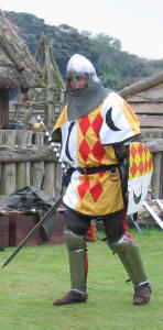 Knight in armour with sword and shield
